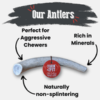 Elk Antler Dog Chew product image 34