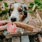 Elk Antler Dog Chew product image 35