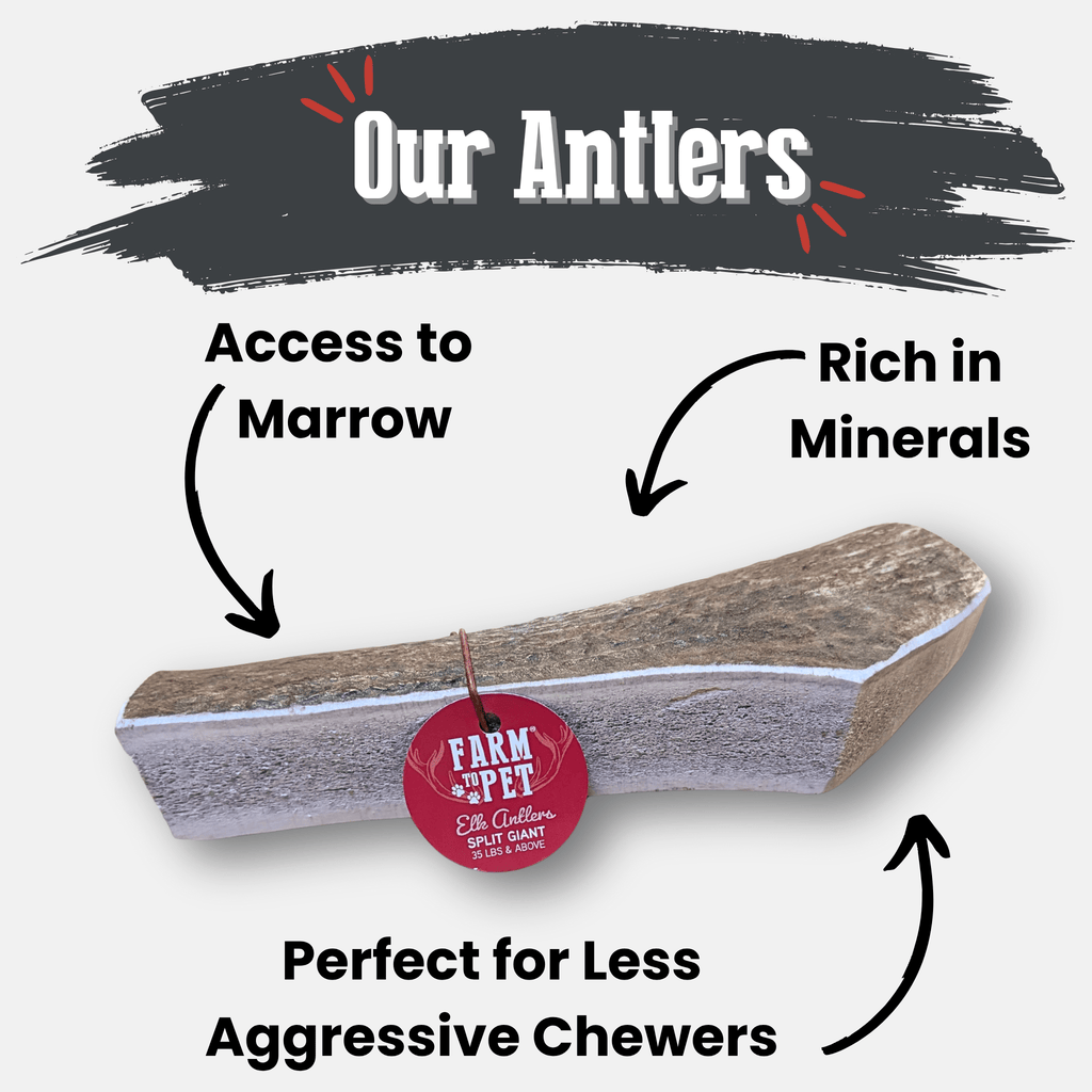 Elk Antler Dog Chew product image 40