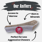 Elk Antler Dog Chew product image 40