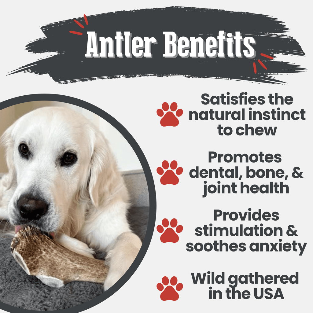 Elk Antler Dog Chew product image 43