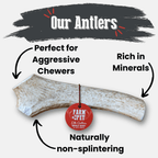 Elk Antler Dog Chew product image 45