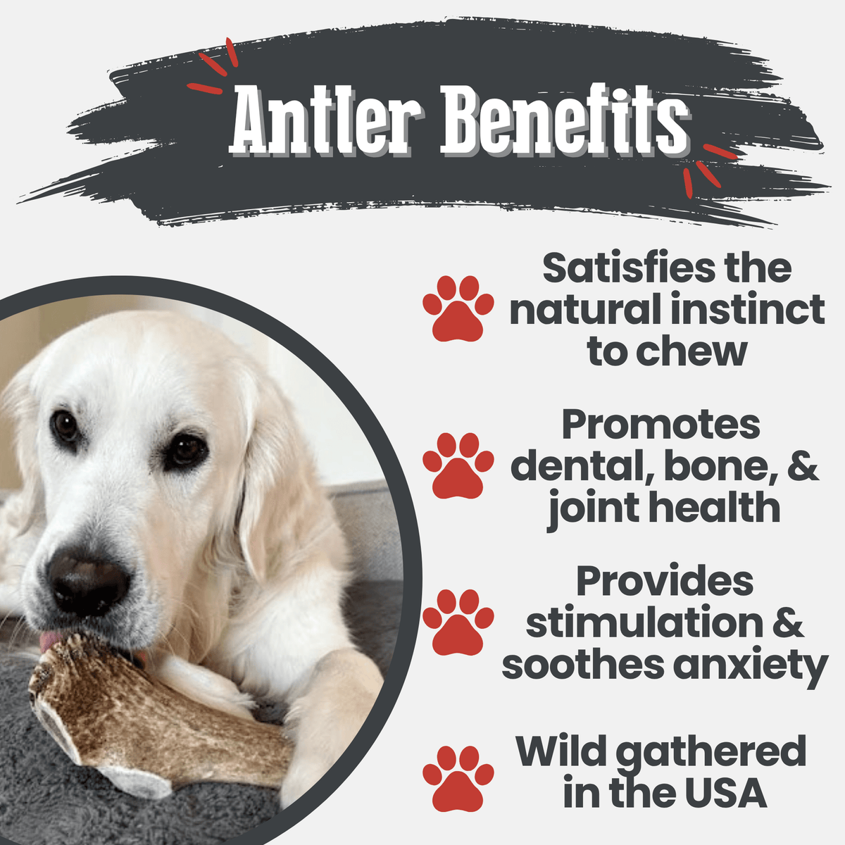 Elk Antler Dog Chew product image 46