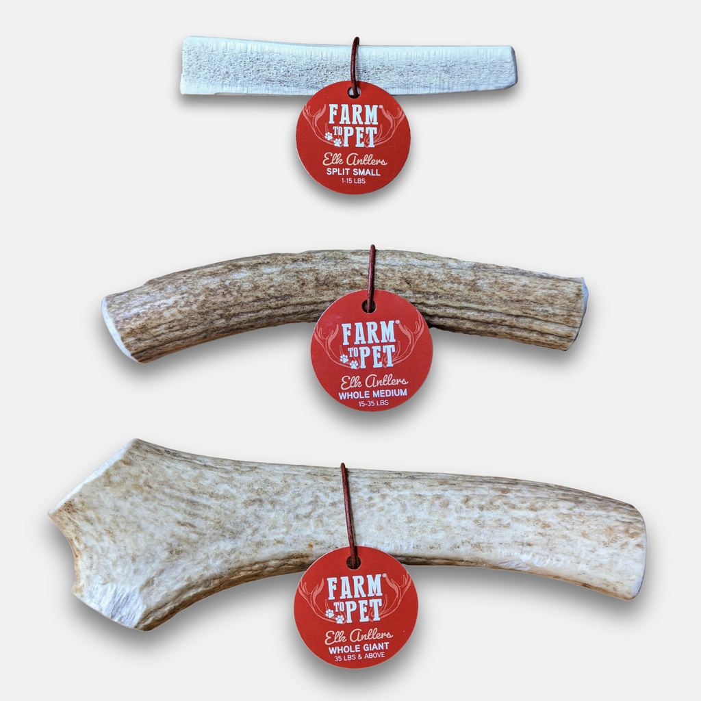 Elk Antler Dog Chew product image 47