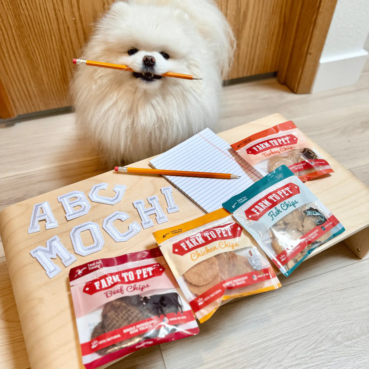 Snack Pack Dog Treat Sampler product image 3