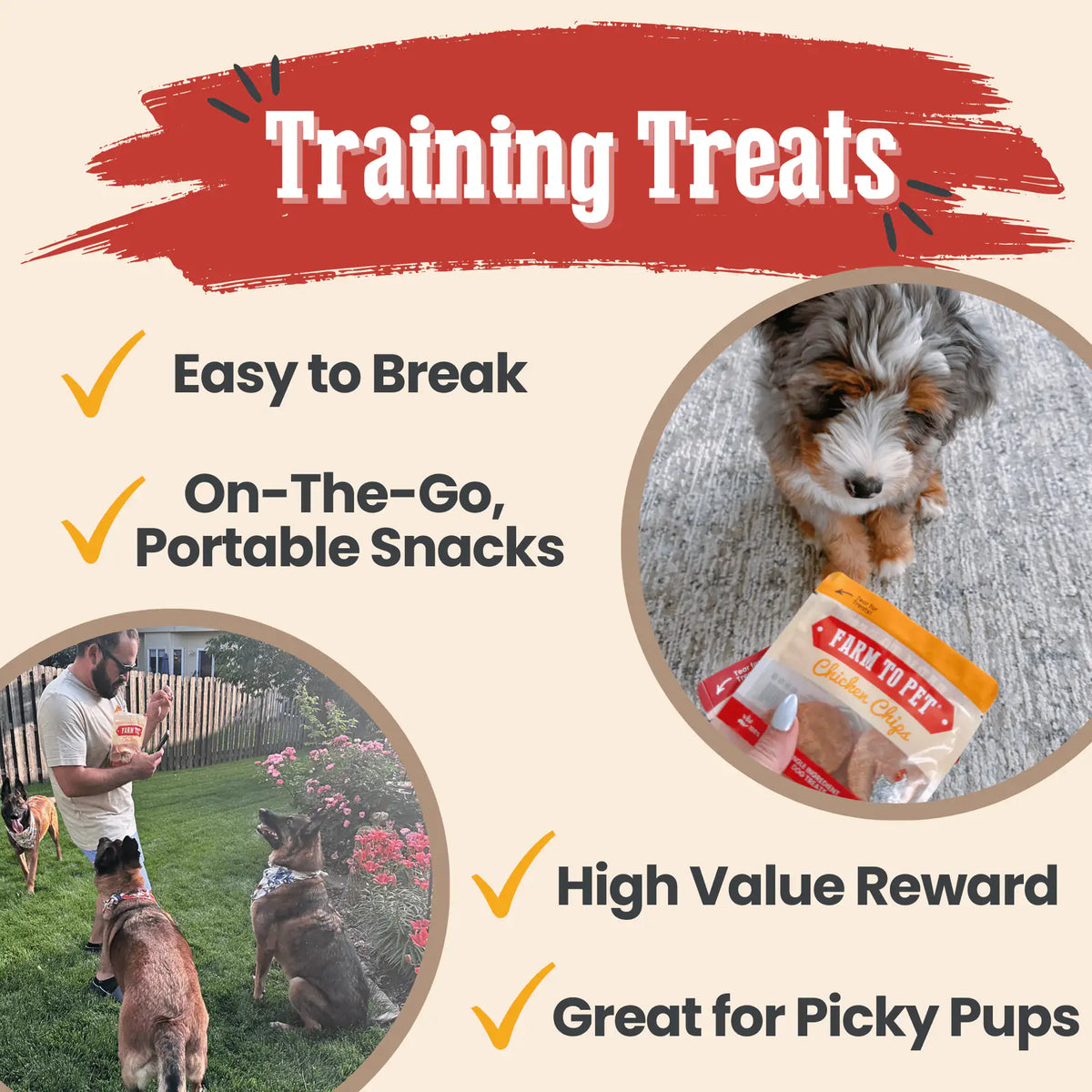 Snack Pack Dog Treat Sampler product image 12