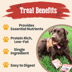 Snack Pack Dog Treat Sampler product image 13