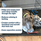 Calming Dog Toy product image 3