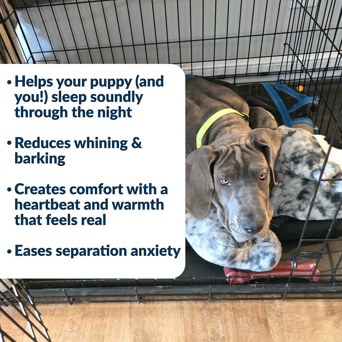 Calming Dog Toy product image 3