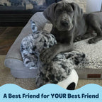 Calming Dog Toy product image 5