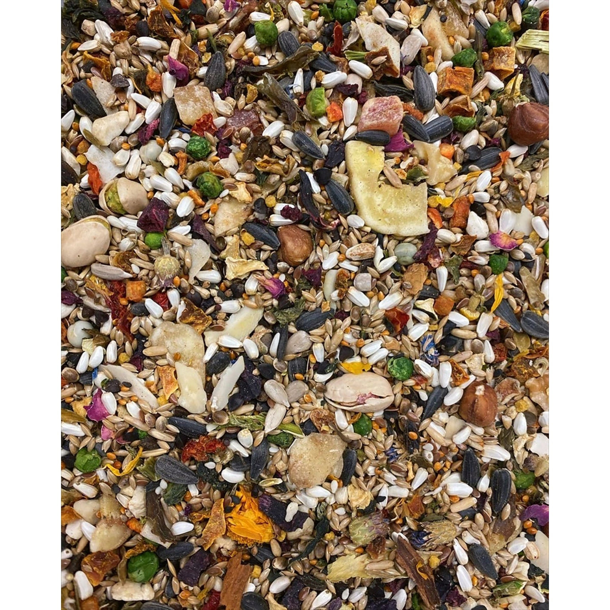 Parrot Seed Blend product image 3