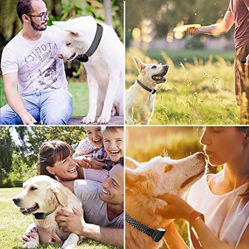 Automatic Bark Collar product image 4