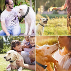 Automatic Bark Collar product image 4