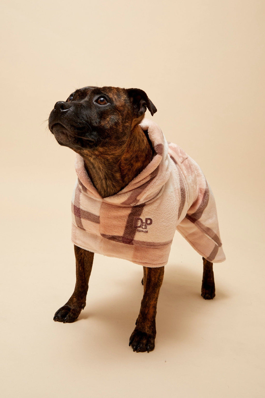 Dog Robe product image 2