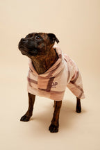 Dog Robe product image 2