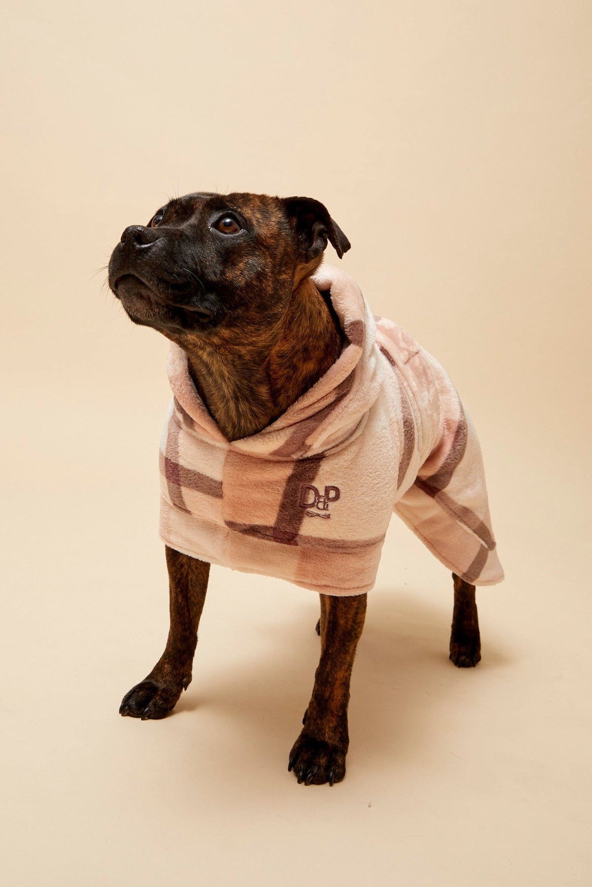 Dog Robe product image 2