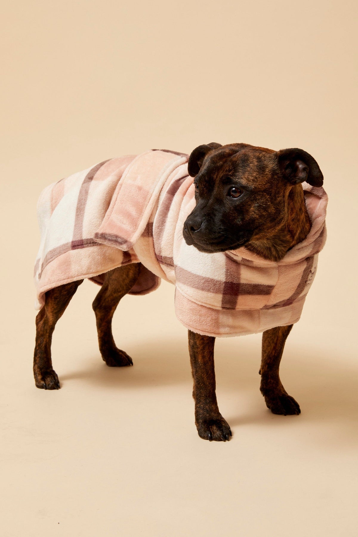Dog Robe product image 3