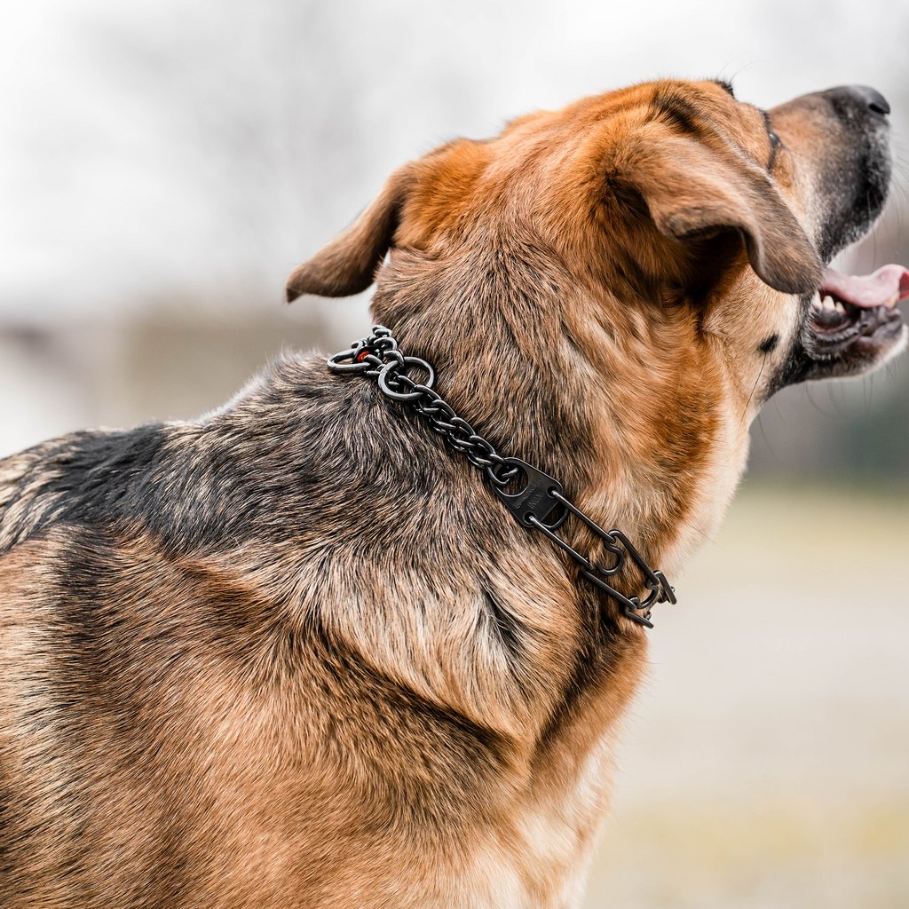 Dog Training Collar product image 2