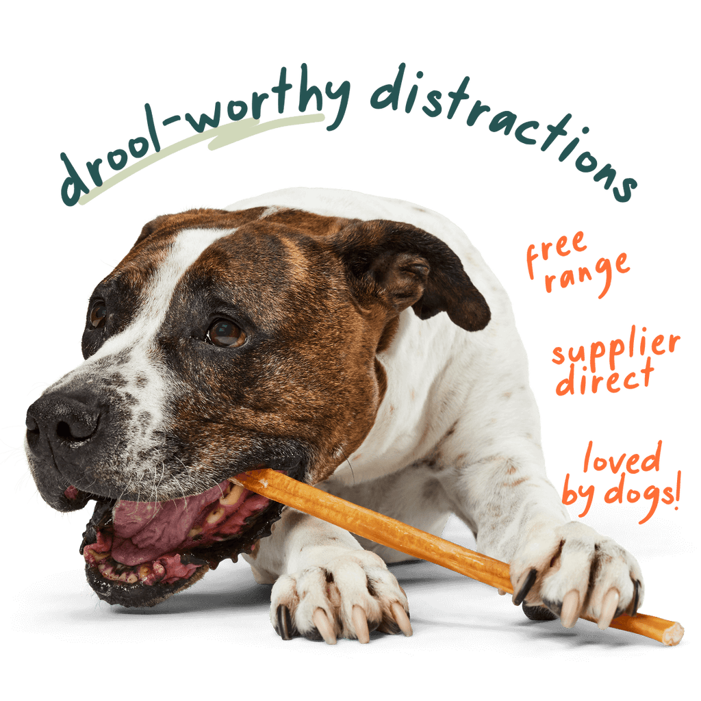 Free-Range Grass-Fed Bully Sticks for Dogs product image 1