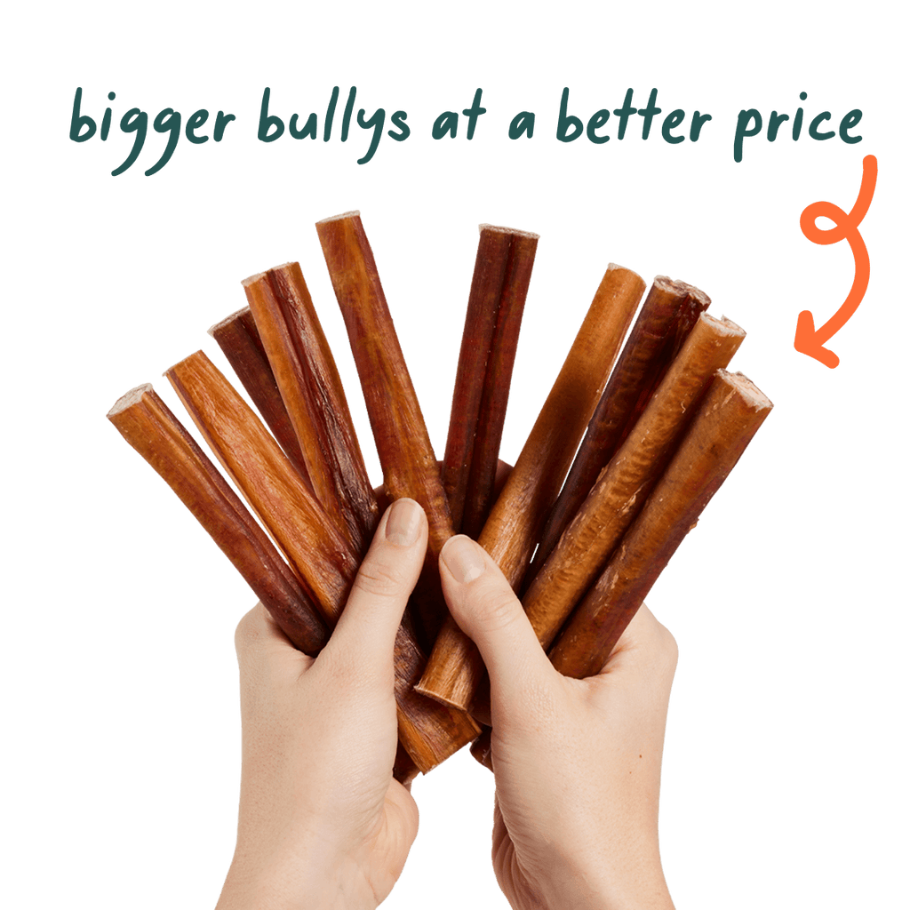 Free-Range Grass-Fed Bully Sticks for Dogs product image 2