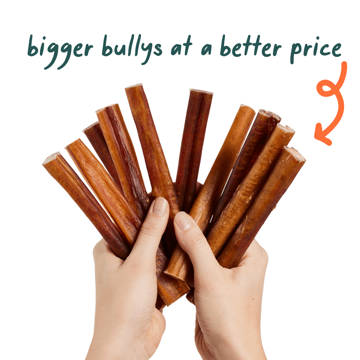 Free-Range Grass-Fed Bully Sticks for Dogs product image 2