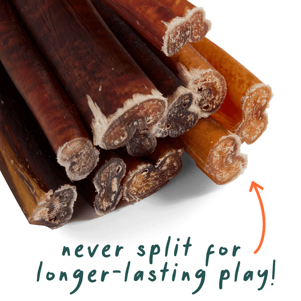 Free-Range Grass-Fed Bully Sticks for Dogs product image 3