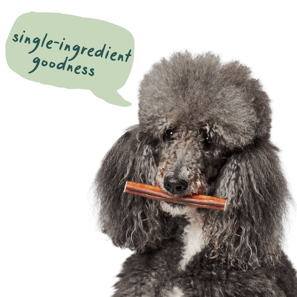 Free-Range Grass-Fed Bully Sticks for Dogs product image 4