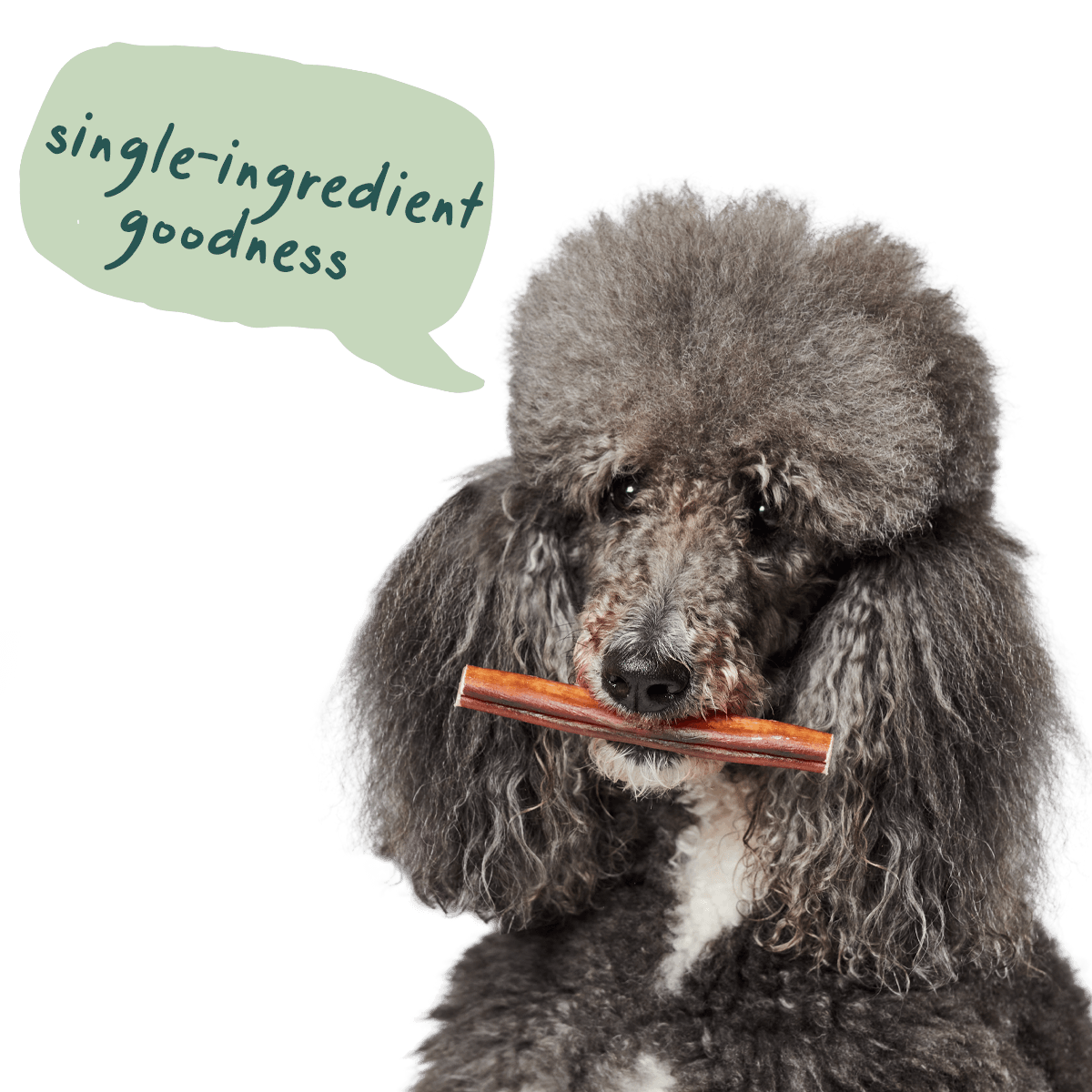 Free-Range Grass-Fed Bully Sticks for Dogs product image 4