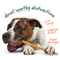 Free-Range Grass-Fed Bully Sticks for Dogs, 6-inch / 5 pack