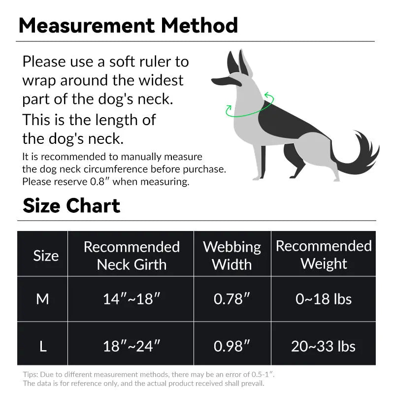 Martingale Dog Collar product image 7