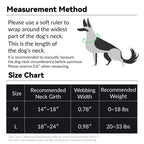 Martingale Dog Collar product image 7