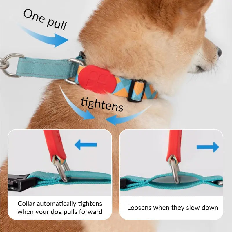 Martingale Dog Collar product image 8