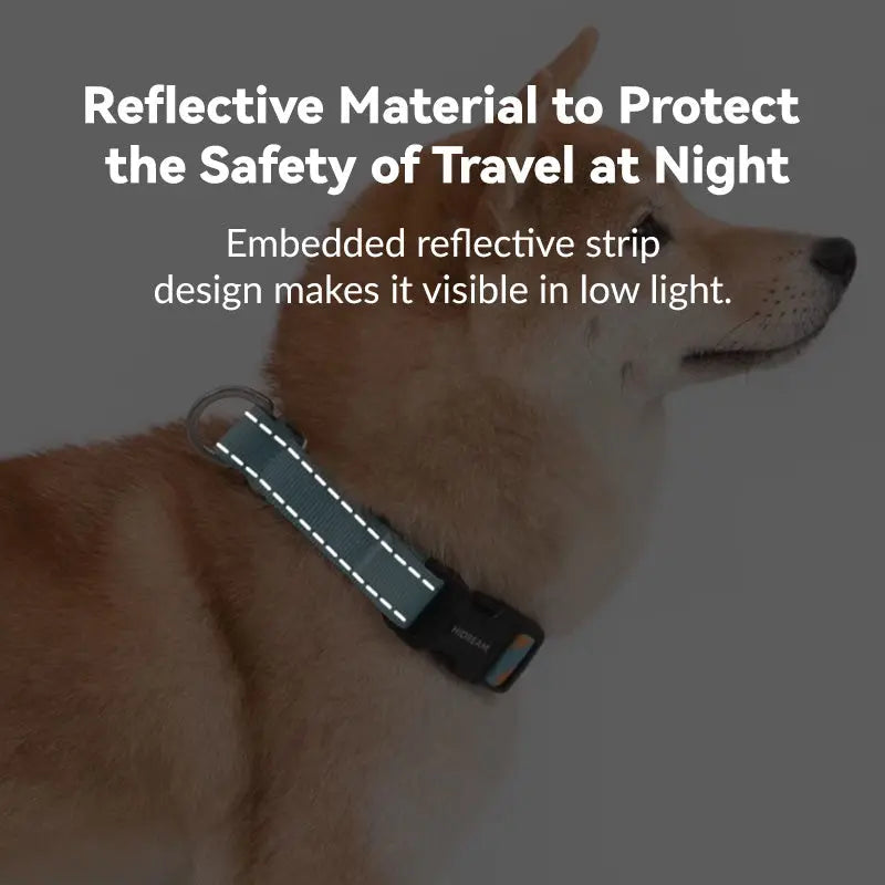 Martingale Dog Collar product image 9