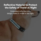 Martingale Dog Collar product image 9