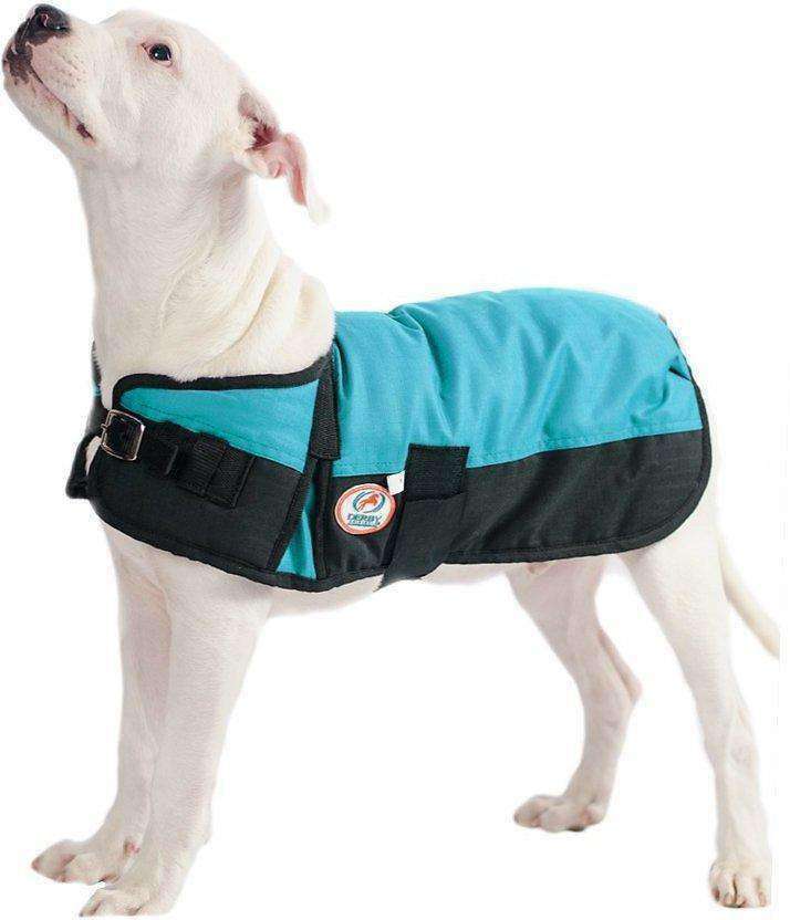 Waterproof Insulated Winter Dog Coat, Hurricane Blue / 8"