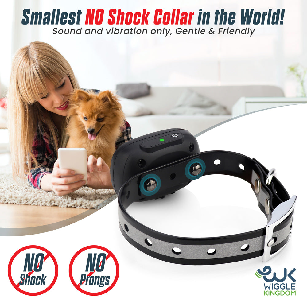 Dog Training Collar product image 2