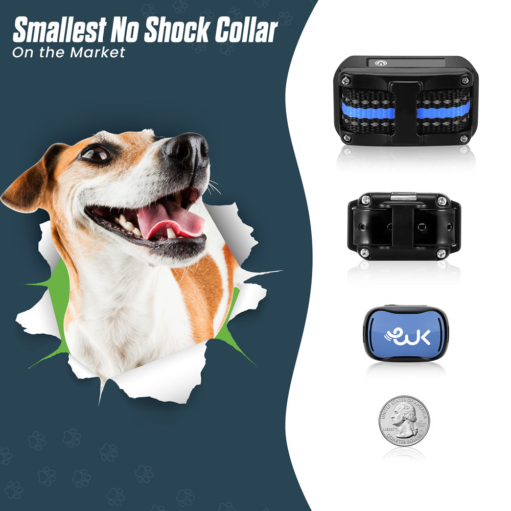 Dog Training Collar product image 6
