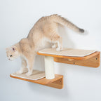 Double Level Cat Wall Perch product image 3