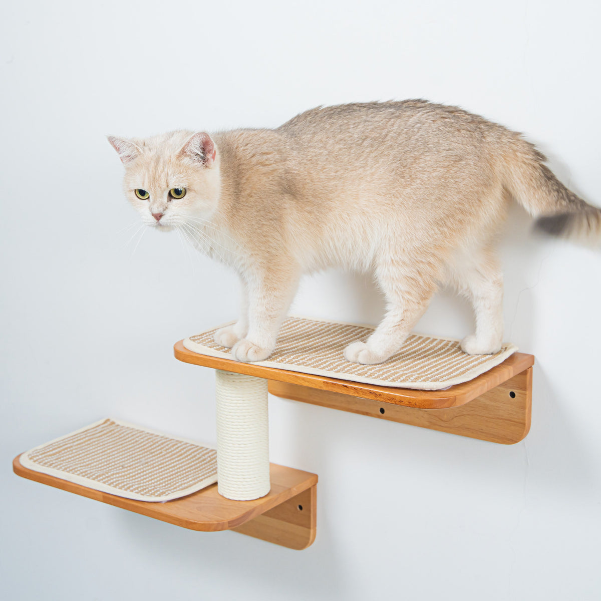 Double Level Cat Wall Perch product image 4