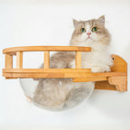 Cat Wall Perch product image 1