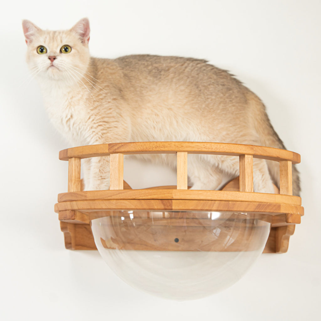Cat Wall Perch product image 3