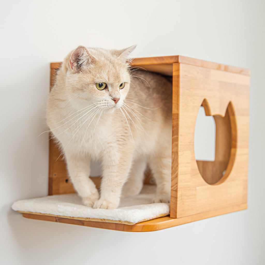 Wall-Mounted Cat House product image 1