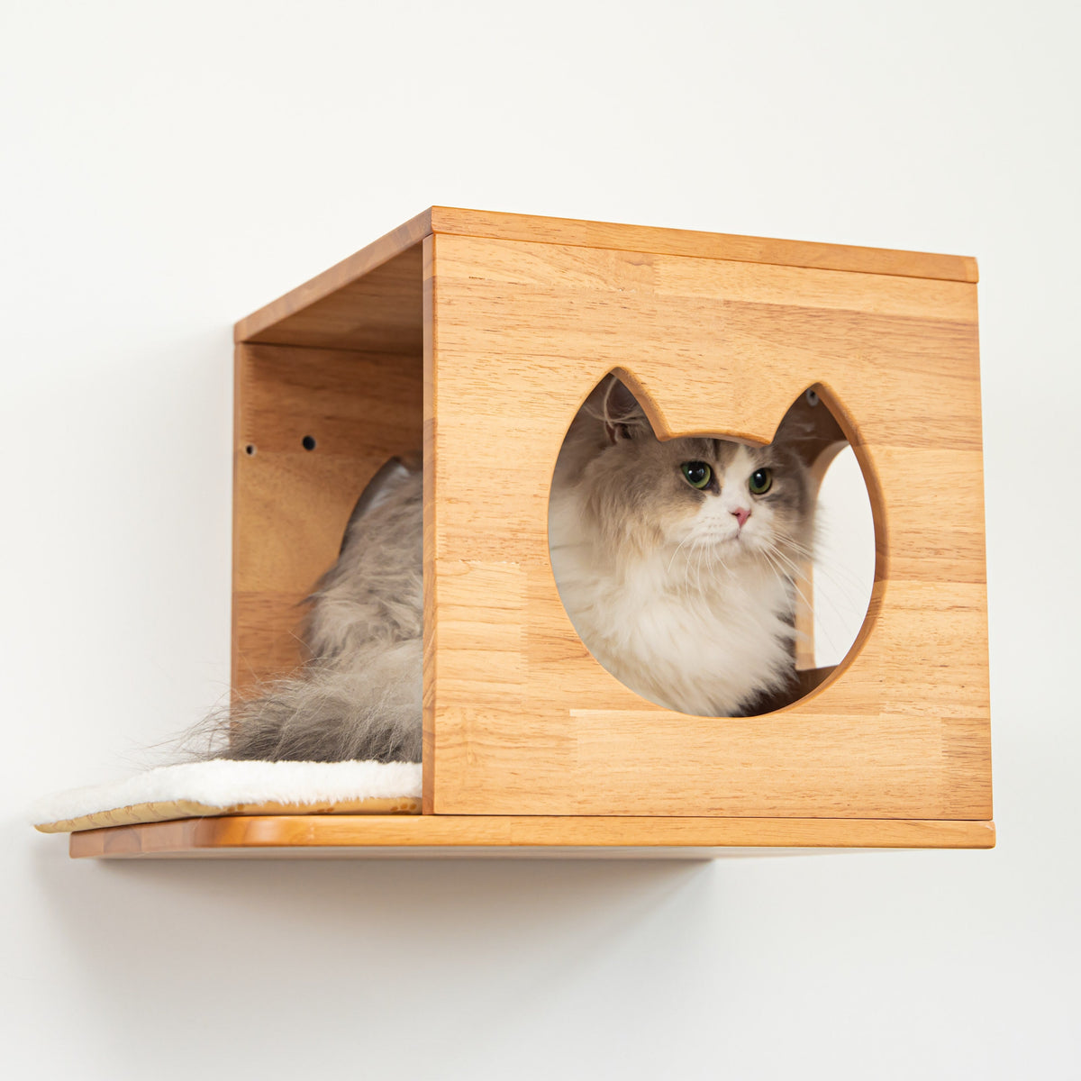 Wall-Mounted Cat House product image 3