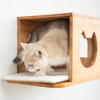 Wall-Mounted Cat House product image 5