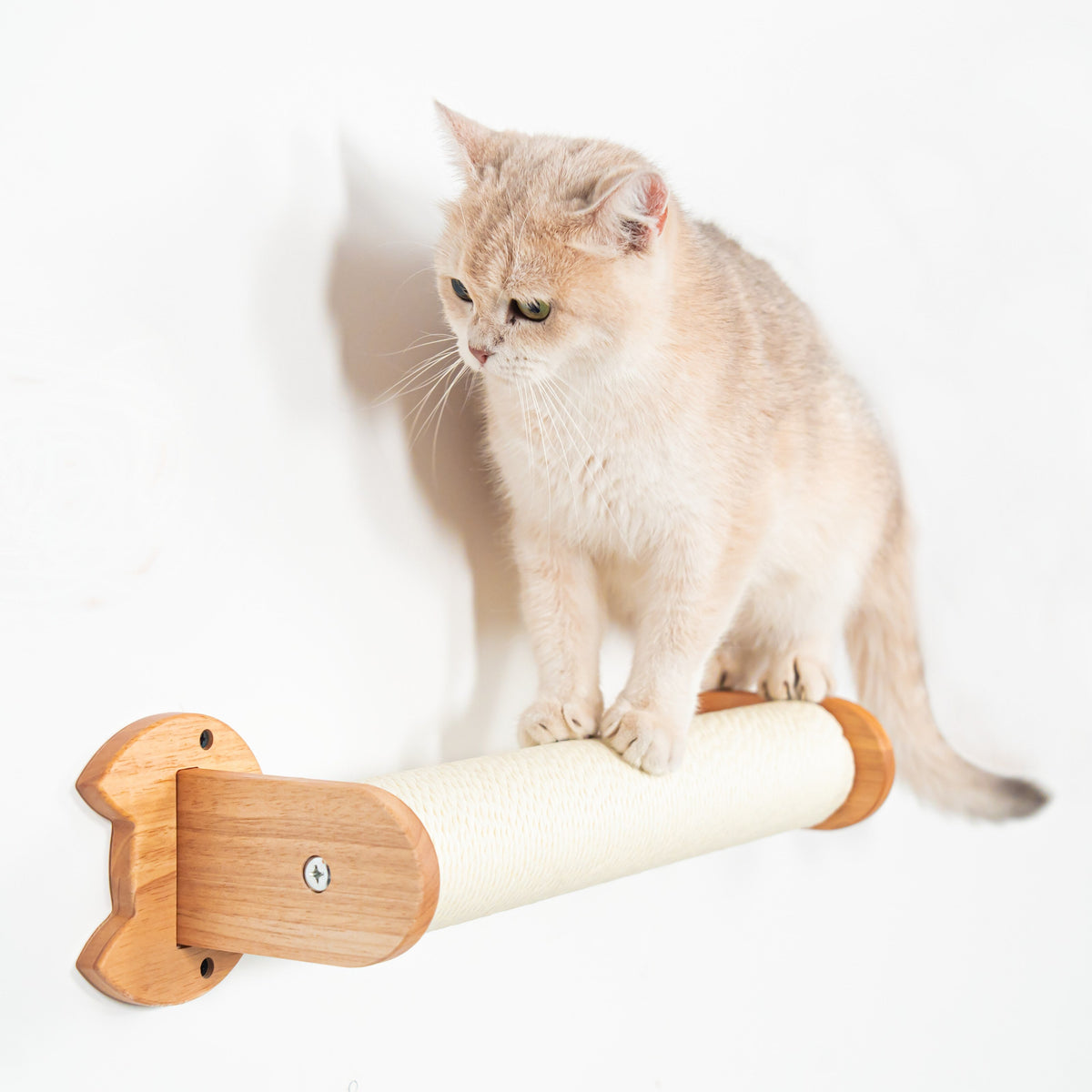 Wall Mounted Cat Scratcher product image 3