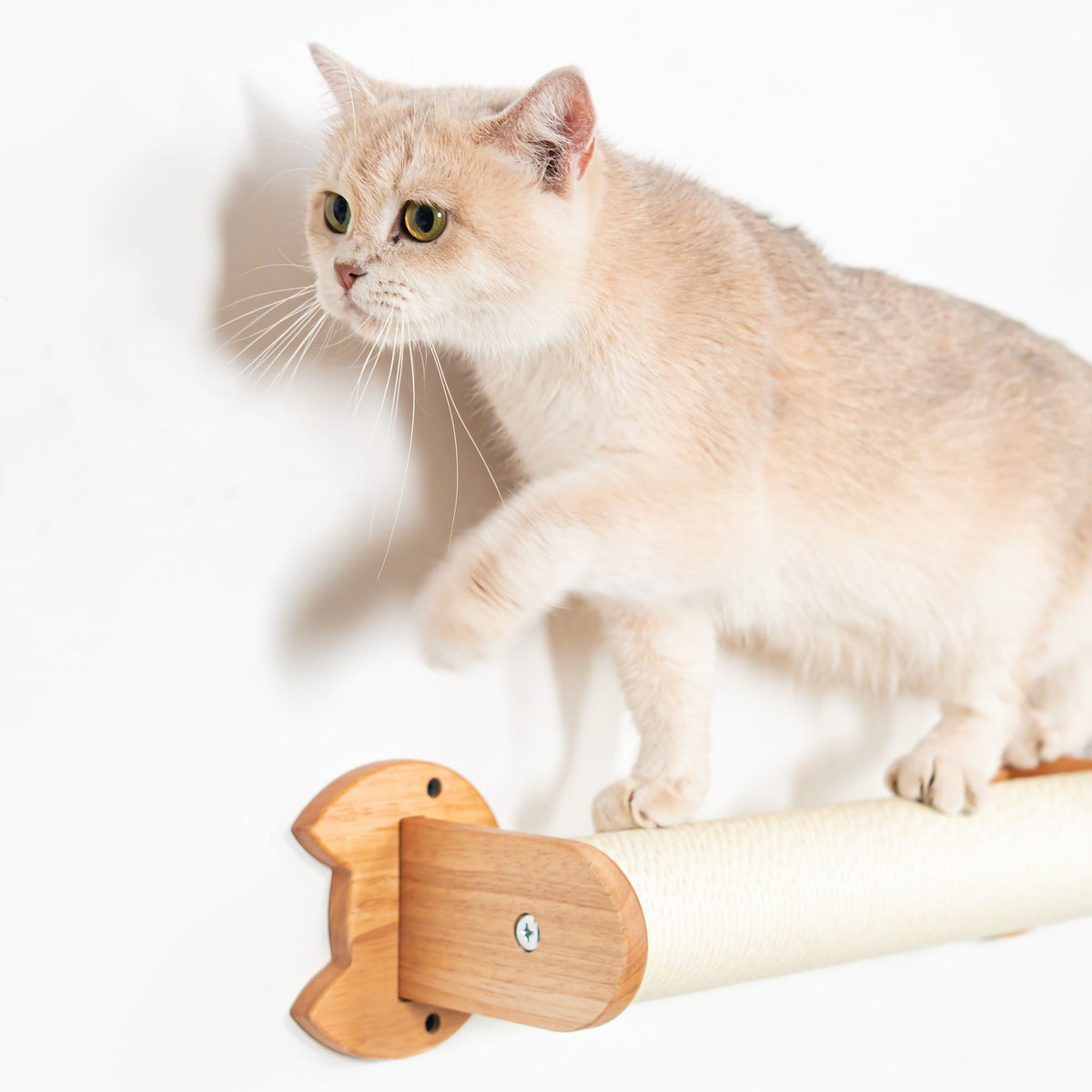 Wall Mounted Cat Scratcher product image 4
