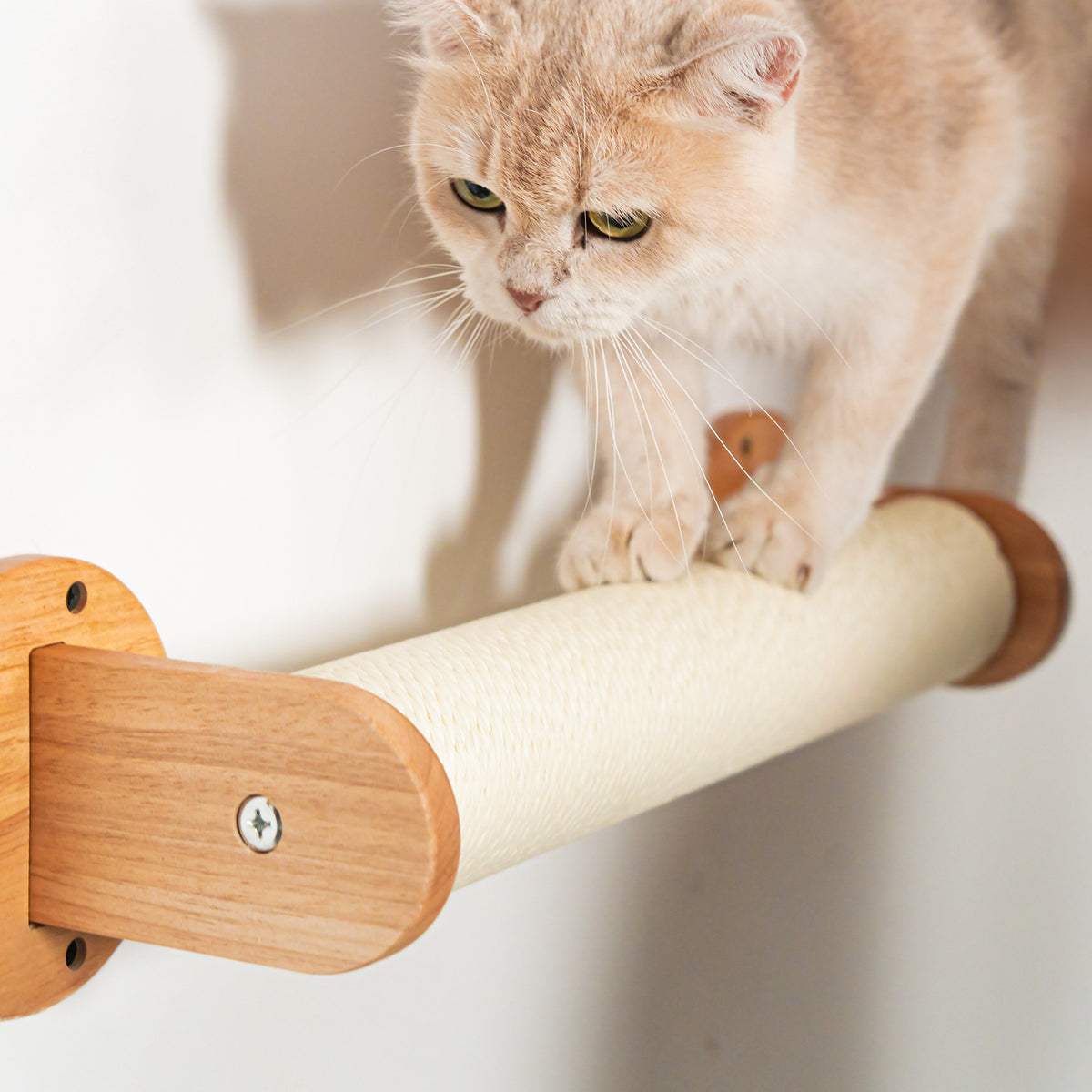 Wall Mounted Cat Scratcher product image 5