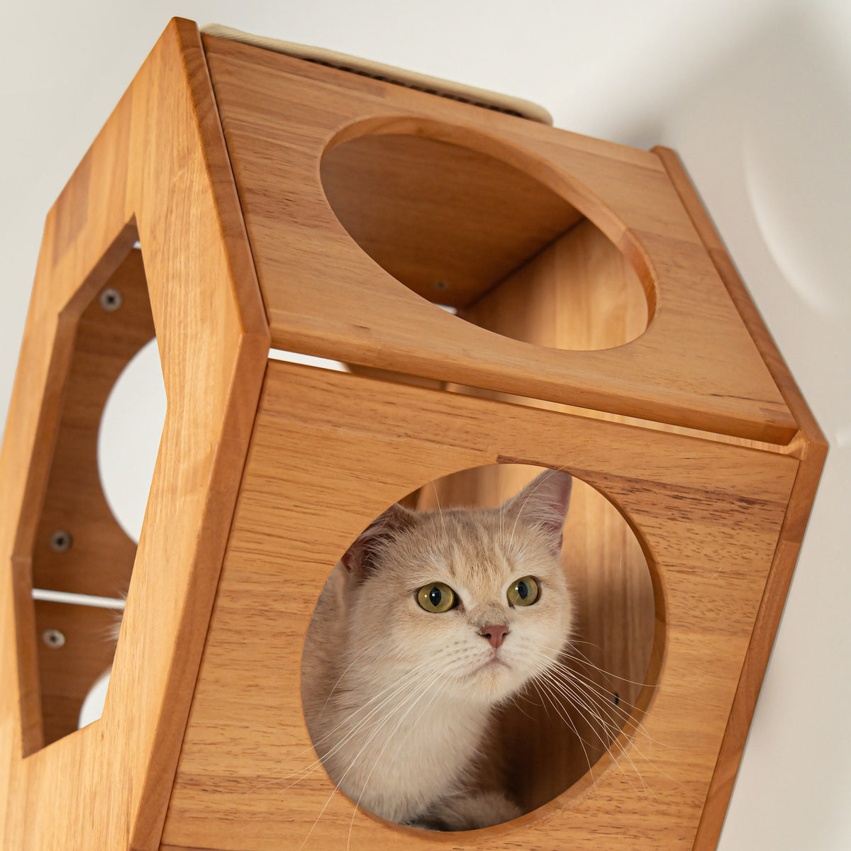 Wall Mounted Cat Bed product image 4