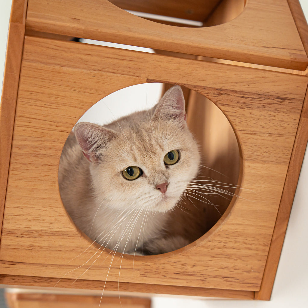 Wall Mounted Cat Bed product image 5