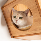 Wall Mounted Cat Bed product image 6